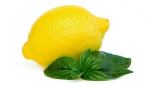 lemon egesz