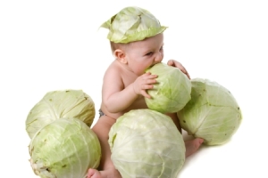 cabbage baby