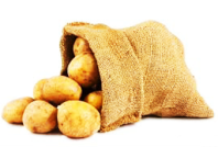 krumpli zsakkal