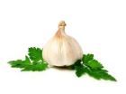 garlic parsley