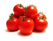 tomato bright